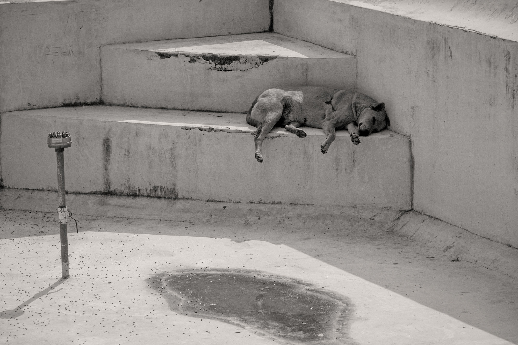 Christoph Radke, India, Jaipur,Amber Fort, 2022